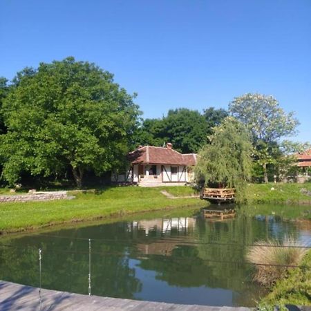Vila Vodenica Lug Strmosten Exteriér fotografie