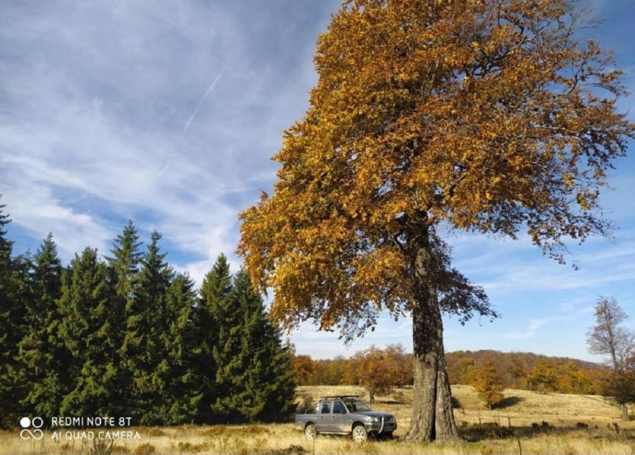 Vila Vodenica Lug Strmosten Exteriér fotografie