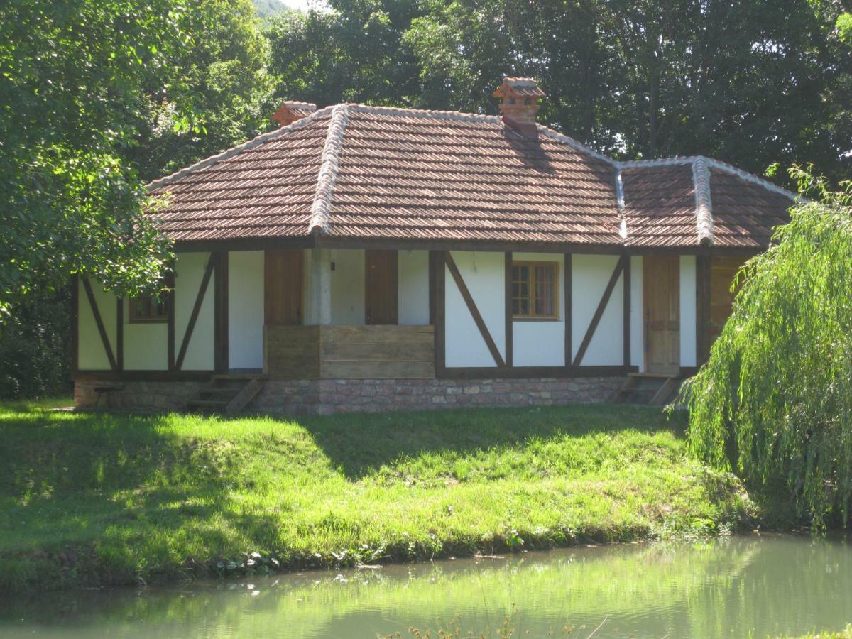 Vila Vodenica Lug Strmosten Exteriér fotografie